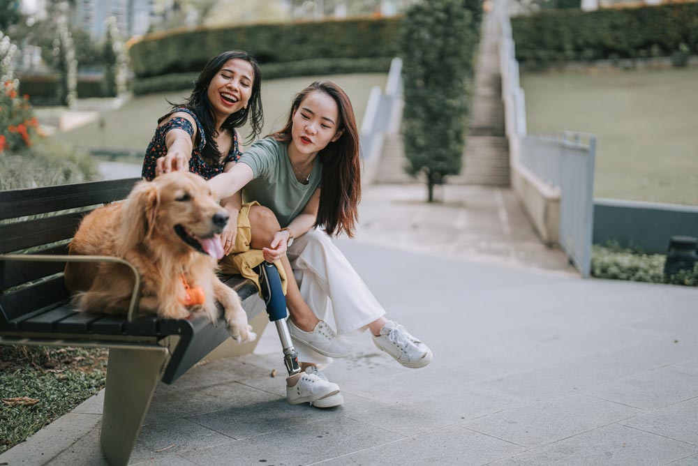Two friends petting the disabled friend's golden retriever dog at the park 
